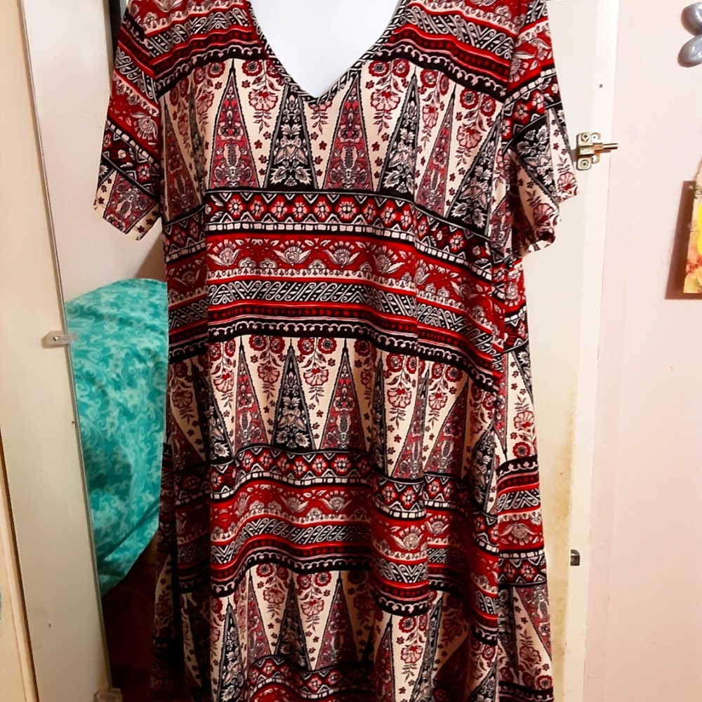 Women's Plus Size Tunic/Dress